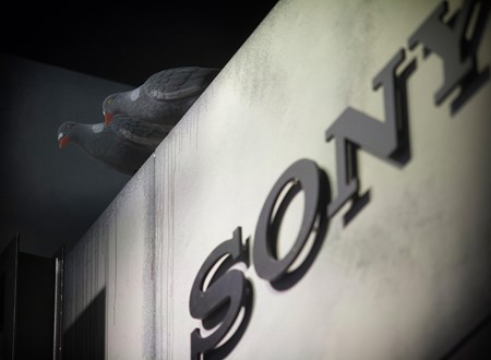 Sony looks good on concrete!
